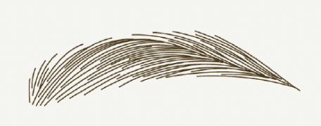 立体感を表現するストロークの画像