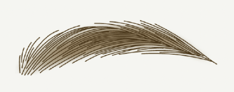 毛並みとパウダーグラデーションの画像